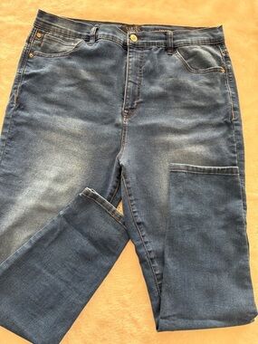 Curves Women’s Straight Leg Jeans in Faded Blue